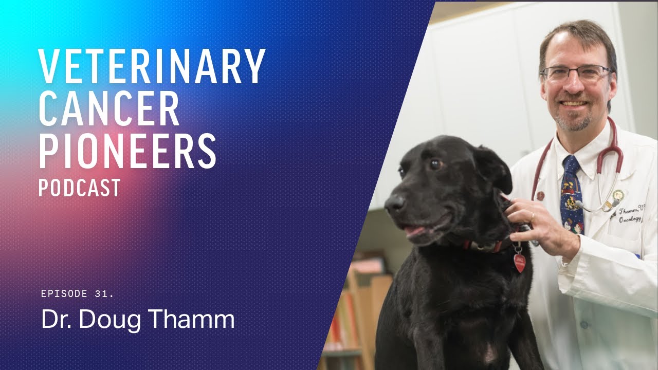 Dr. Doug Thamm | Comparative Oncology Frontiers | Veterinary Cancer Pioneers Podcast