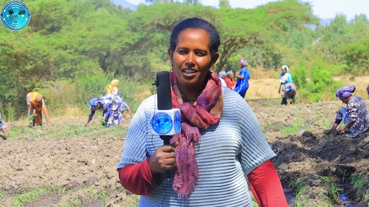 #በኢኮኖሚ ዝቅተኛ ደረጃ ላይ የሚገኙ ሴቶች ተጠቃሚ ለማድረግ እየተሰራ መሆኑን ተገለፀ።
