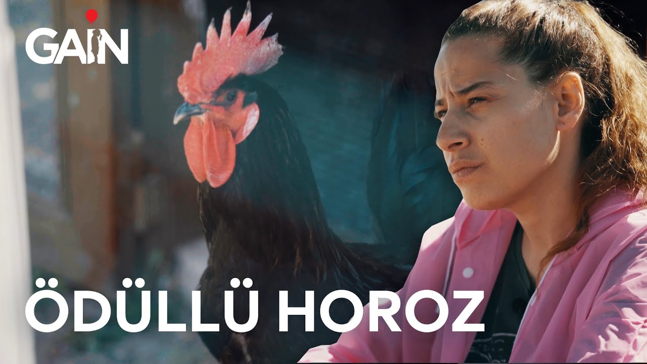 Denizli'nin Ödüllü Horozu | Heykel Mi?