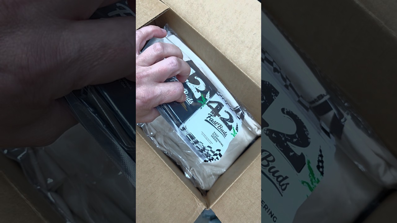 @FastBuds  #mobuds314