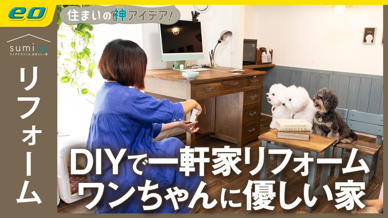 【DIYリフォーム】ワンちゃんも人も快適な家に改造【住まいの神アイデア！】｜sumica ～アイデアでつくる、自分らしい家～