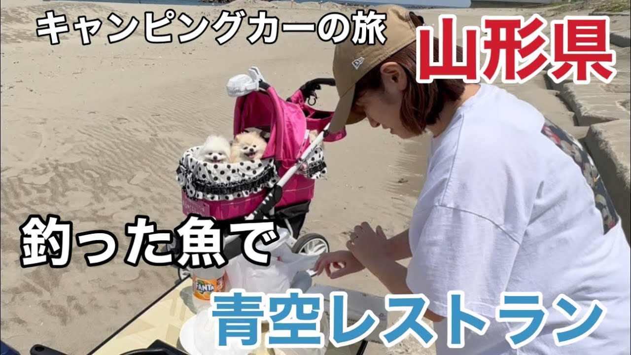 キャンピングカーで愛犬３匹と初めての車中泊がヤバすぎた