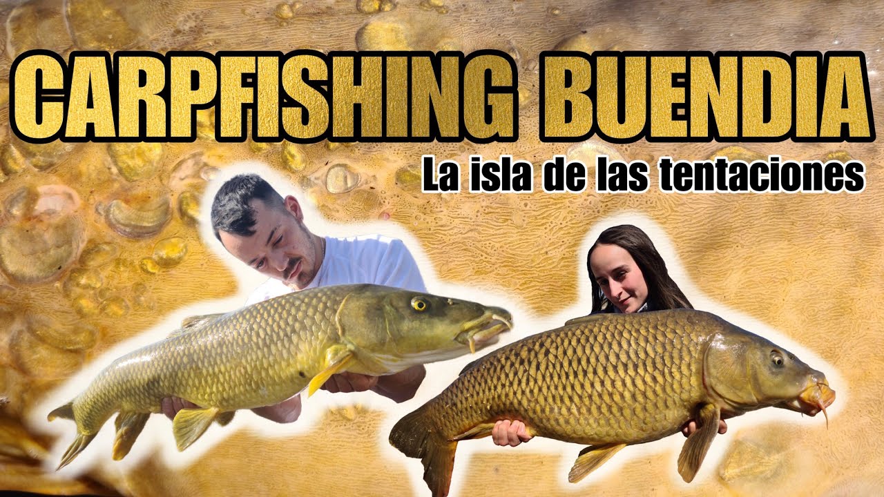CARPFISHING EMBALSE DE BUENDIA - La isla de las tentaciones