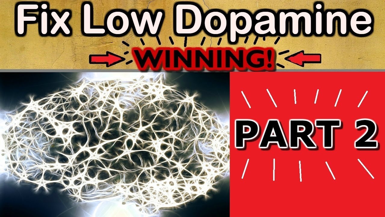 Increase DOPAMINE Naturally - AND WIN AT LIFE 👉 PART 2