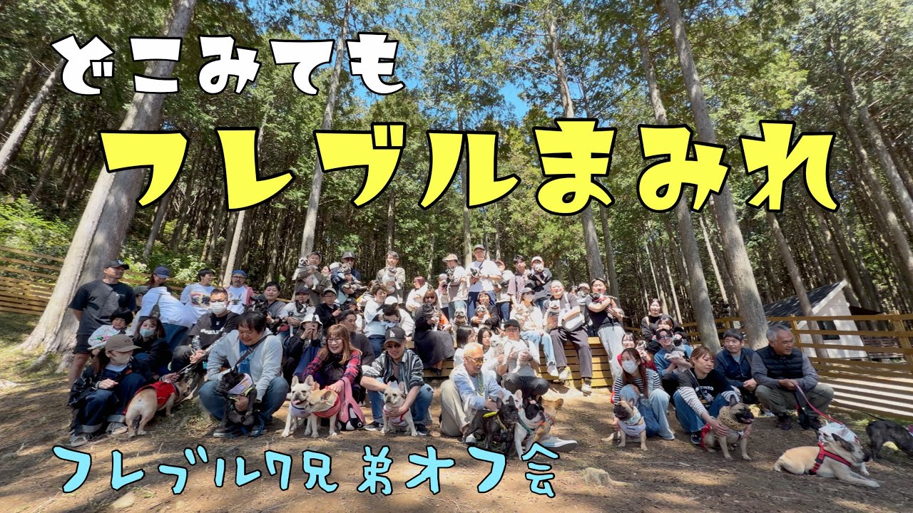 78名44頭が勢ぞろい！360度フレブルだらけの光景にめちゃくちゃ癒されました～