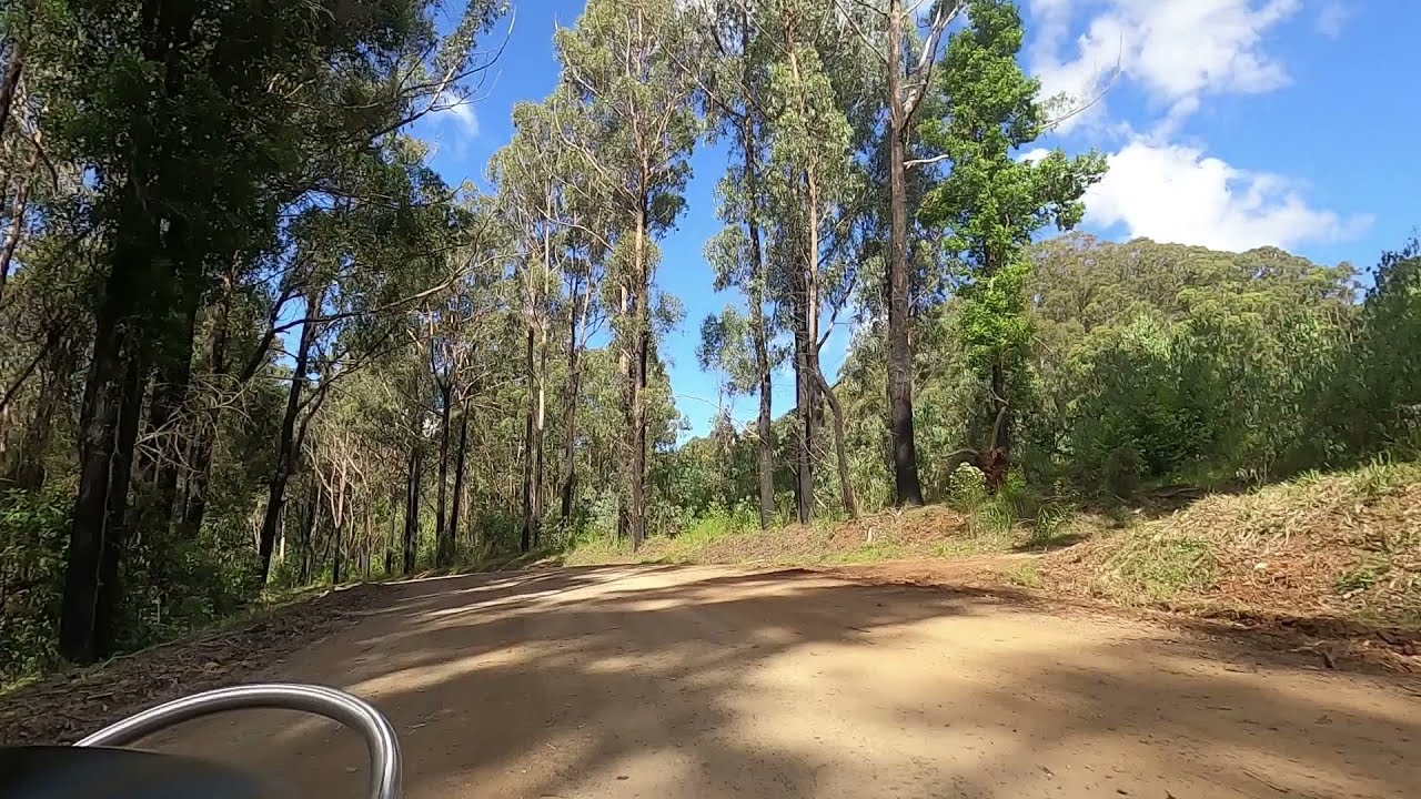 Elands to Comboyne, NSW.