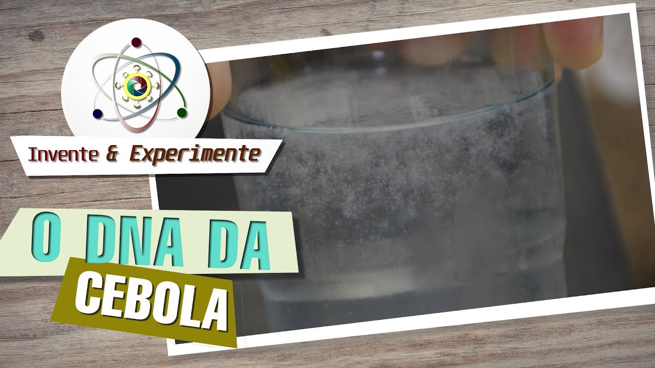 COMO EXTRAIR DNA DE CEBOLA