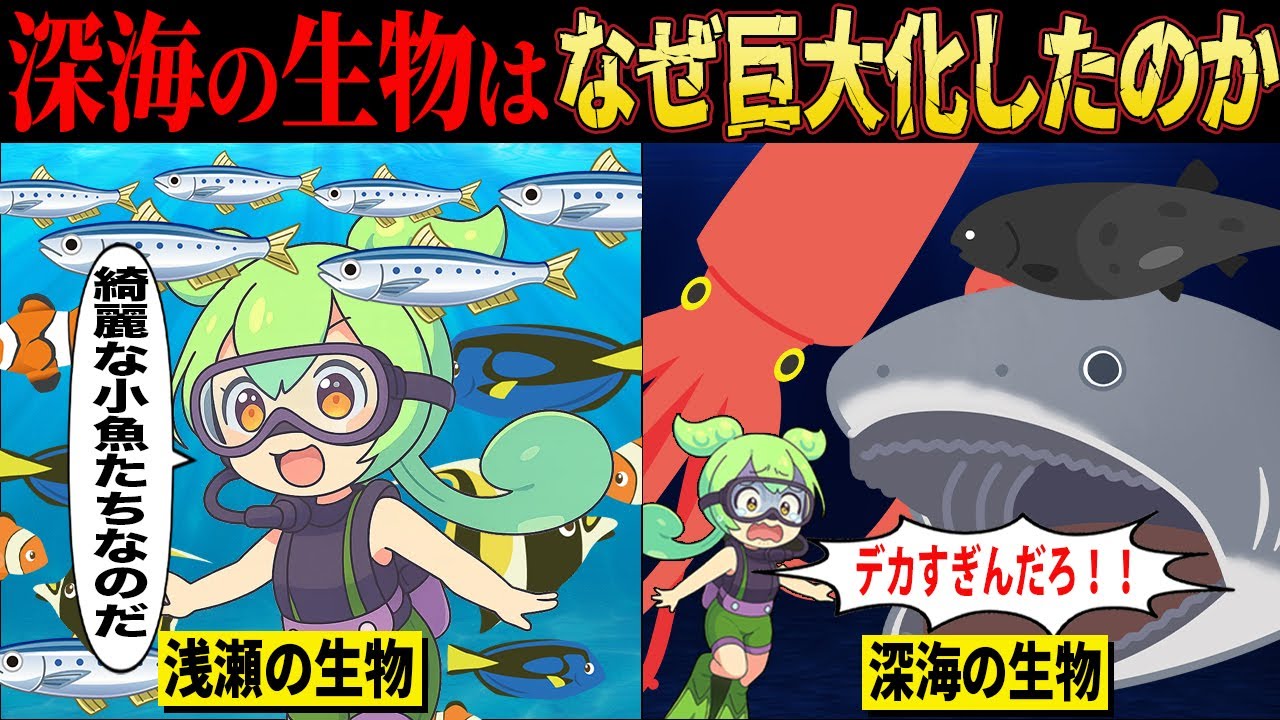 デカすぎんだろ！！なぜ深海の生物は巨大化したのか？その理由とは【ずんだもん＆ゆっくり解説】