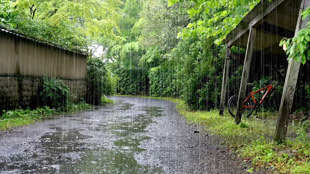 Проселочная дорога, наполненная освежающим шумом дождя — комфортный отдых