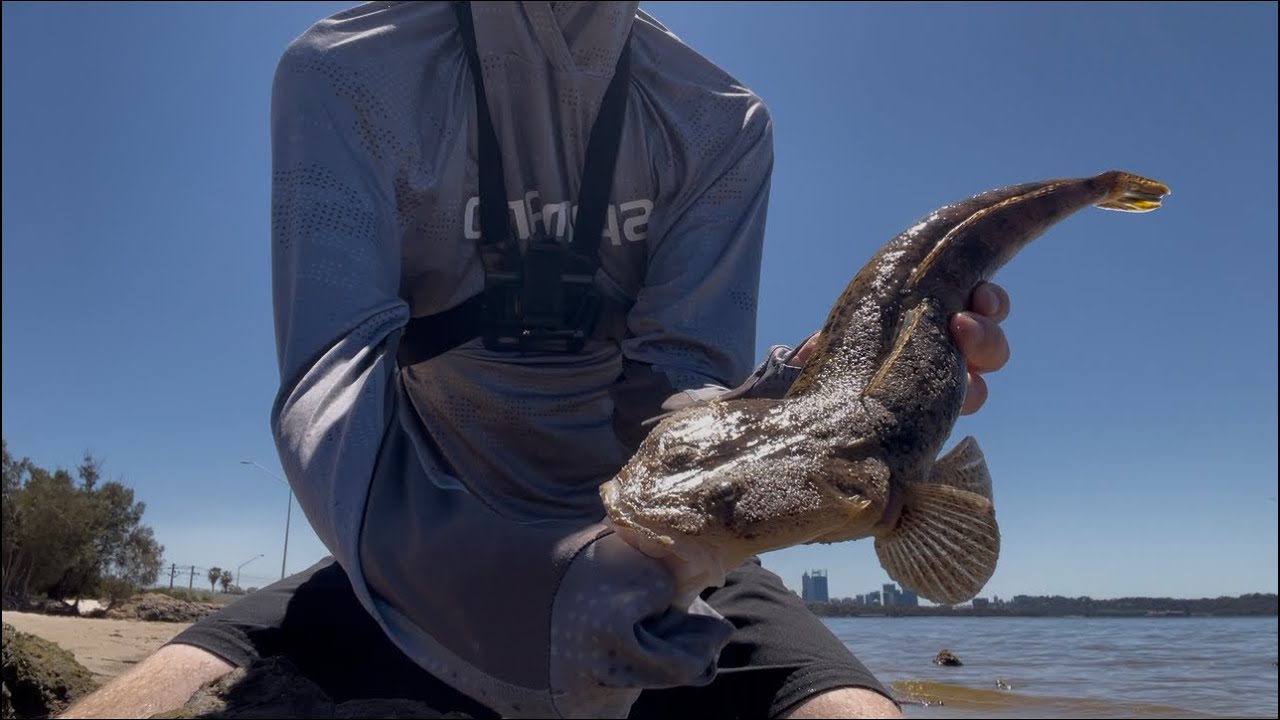 Swan river flatty session fishing a drop off (TikTok: Huntsmn fishing).    