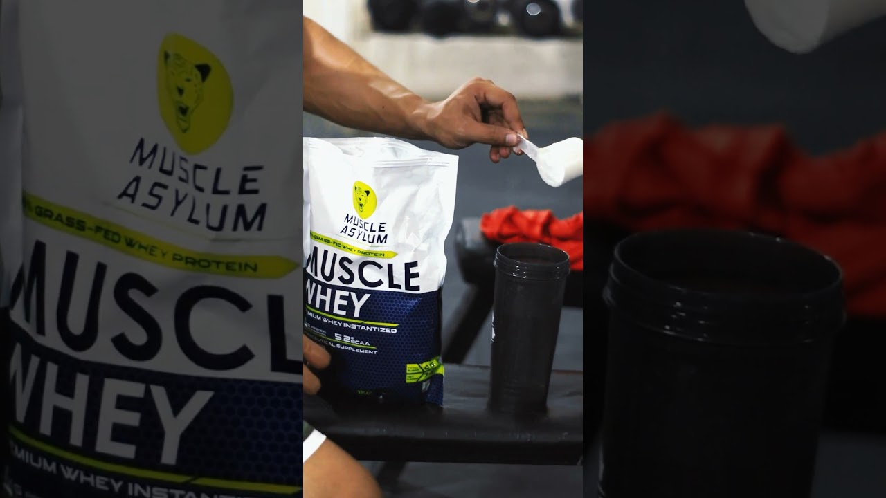 muscle asylum whey protein