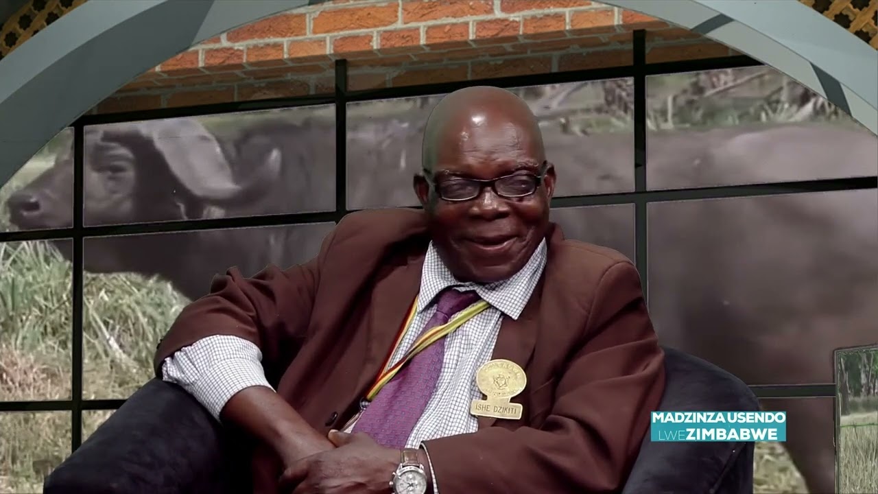 MADZINZA USENDO LWEZIMBABWE || 