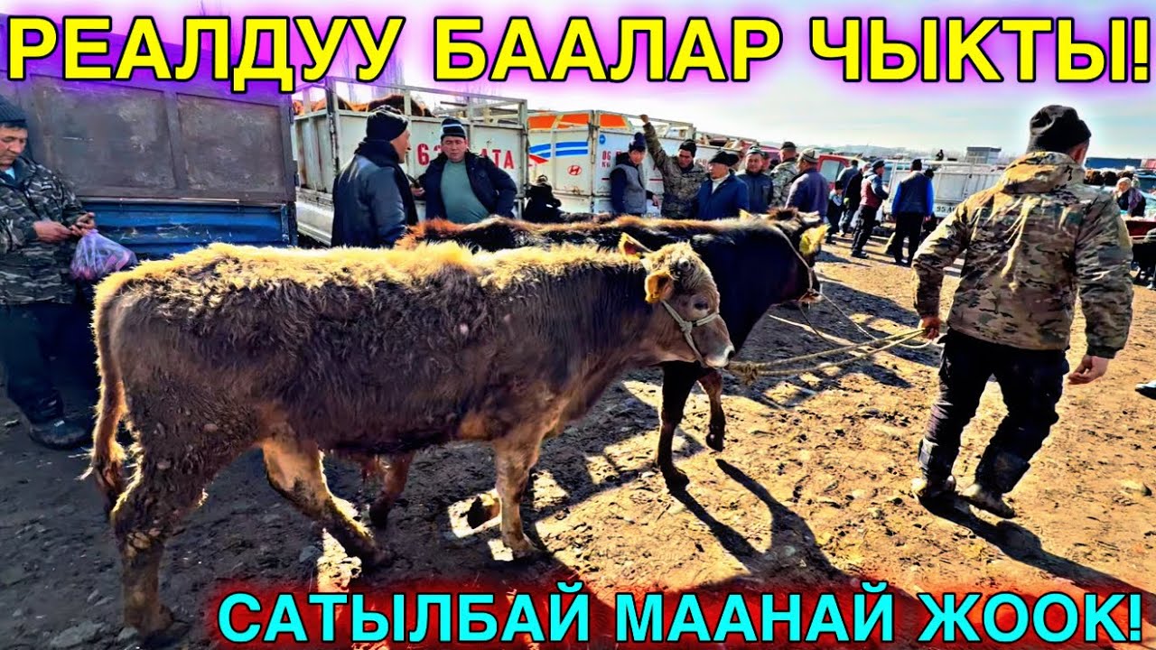 БАЗАР ДЫМЫП САТЫЛБАЙ КАЙТКАН КӨП 🤩#байтв 