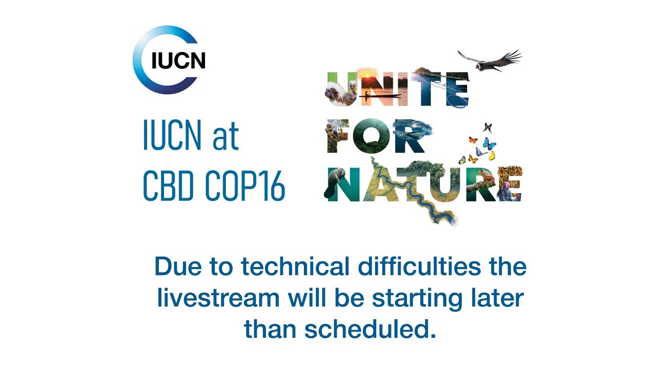 IUCN CBD COP16 Pavilion Day 3