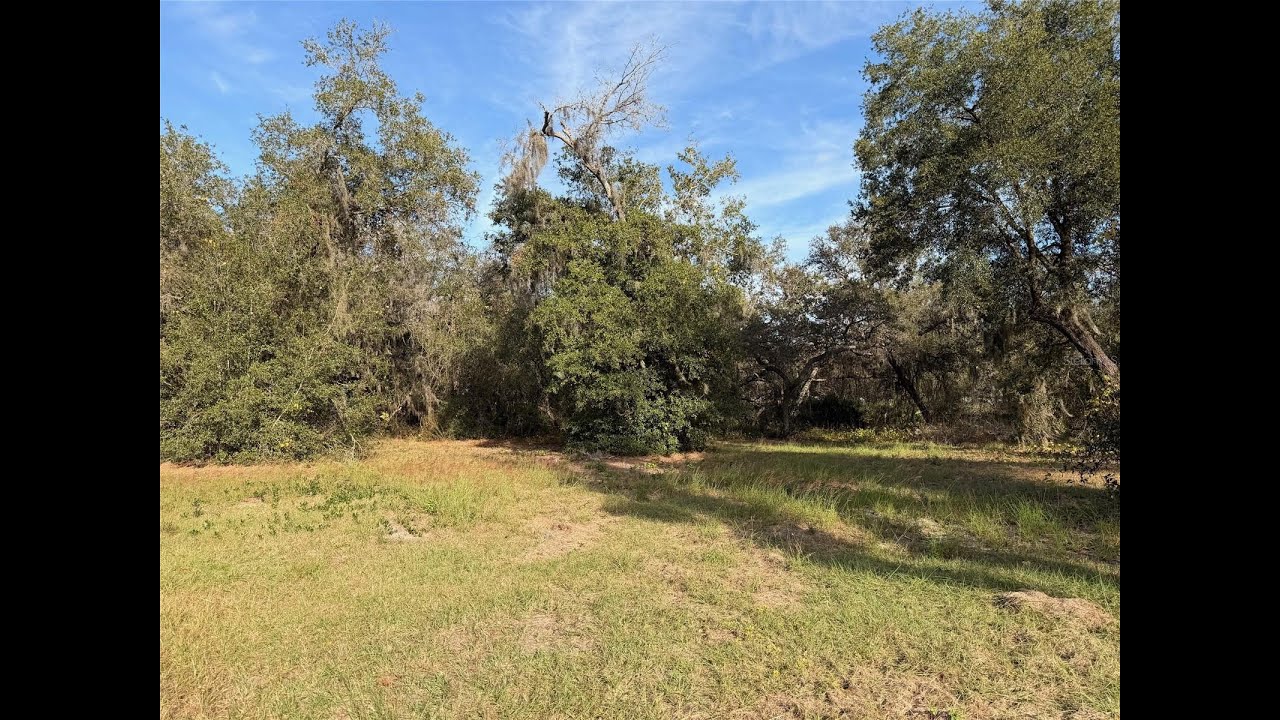 3121 BRIGHT LAKE CIR | LEESBURG Real Estate