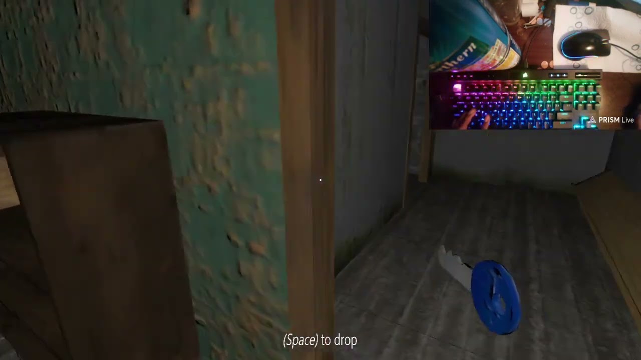 granny 1.0 with hand cam