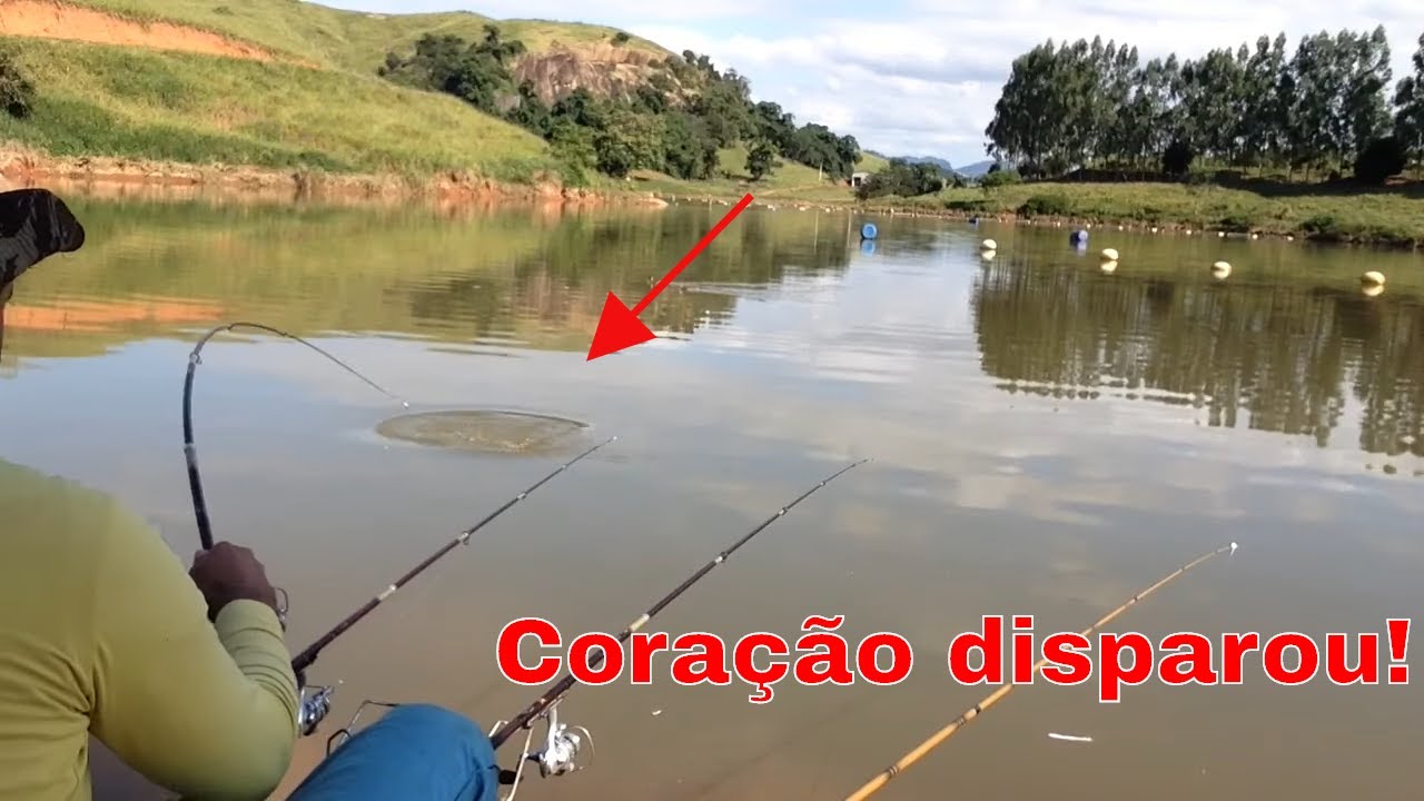 PESCARIA DE TILÁPIA! Cardume só de gigante, vara quebrada, haja coração.