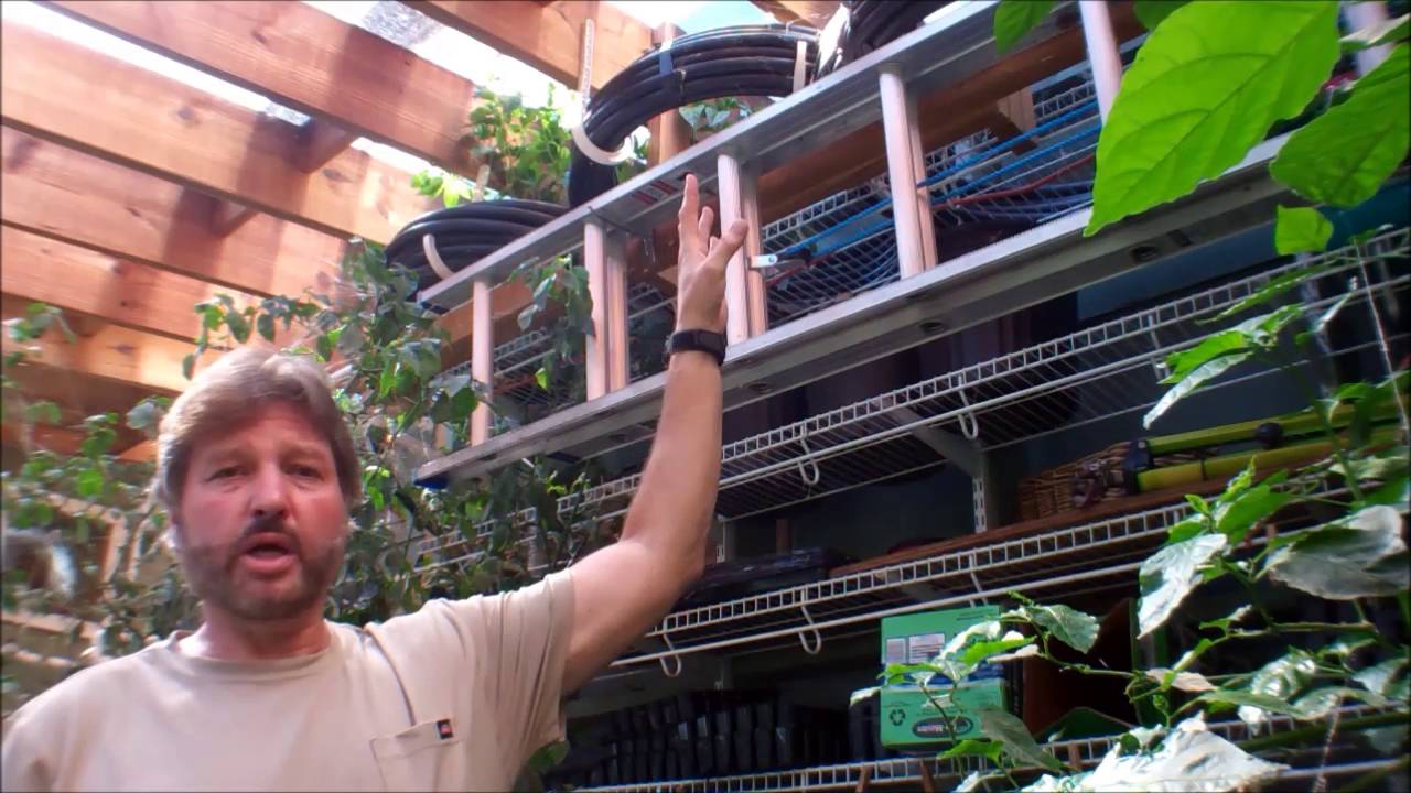 How the Secret Greenhouse Of Survival Works!