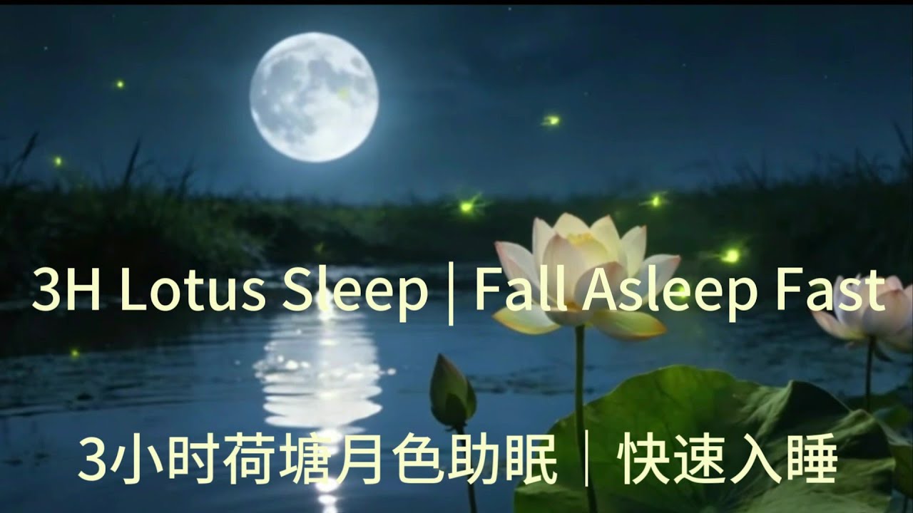 3H Lotus Sleep | Fall Asleep Fast   3小时荷塘月色助眠｜快速入睡