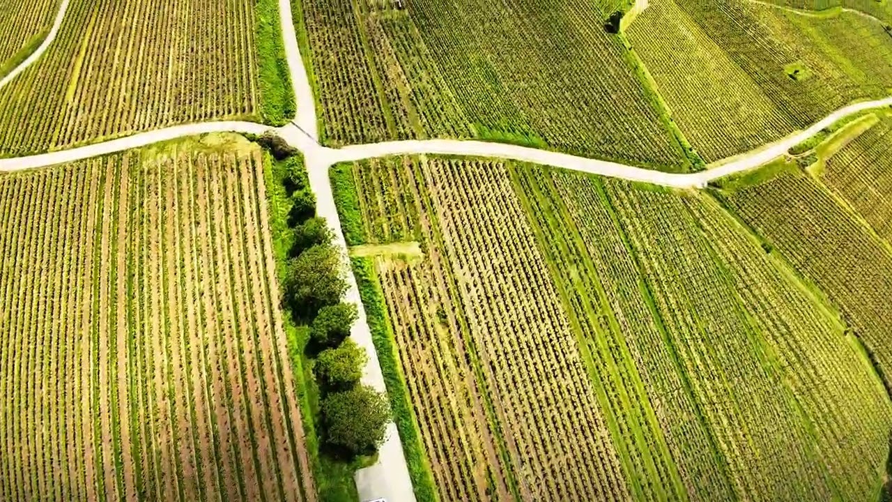 DJI Avata 2 / Cinématique Bergholtz Alsace