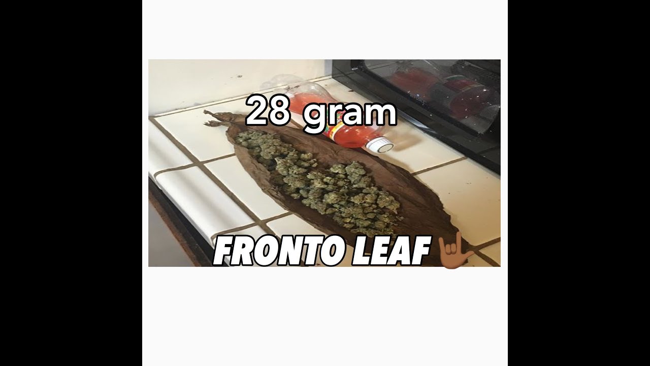 28 GRAM FRONTO LEAFF!