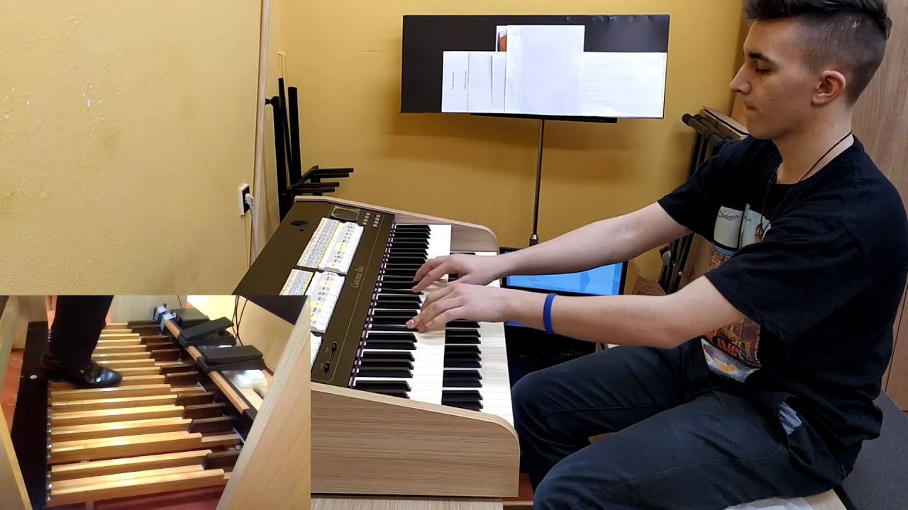 Johann Sebastian Bach: Jesus bleibet meine Freude [BWV 147] - Petr Novotny