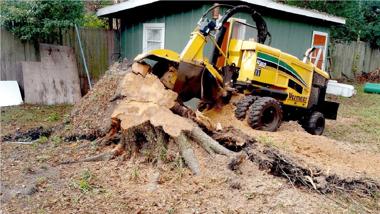 Extreme Fast Tree Stump Grinder Modern Technology, Intelligent Forestry Equipment and Mega Machines