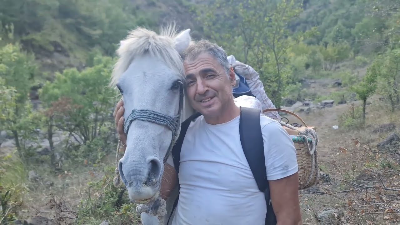 Tokat Ordu sınırında kendi dünyasını oluşturan Yavuz Çördük'ün iki günlük yaşamını görüntüledim