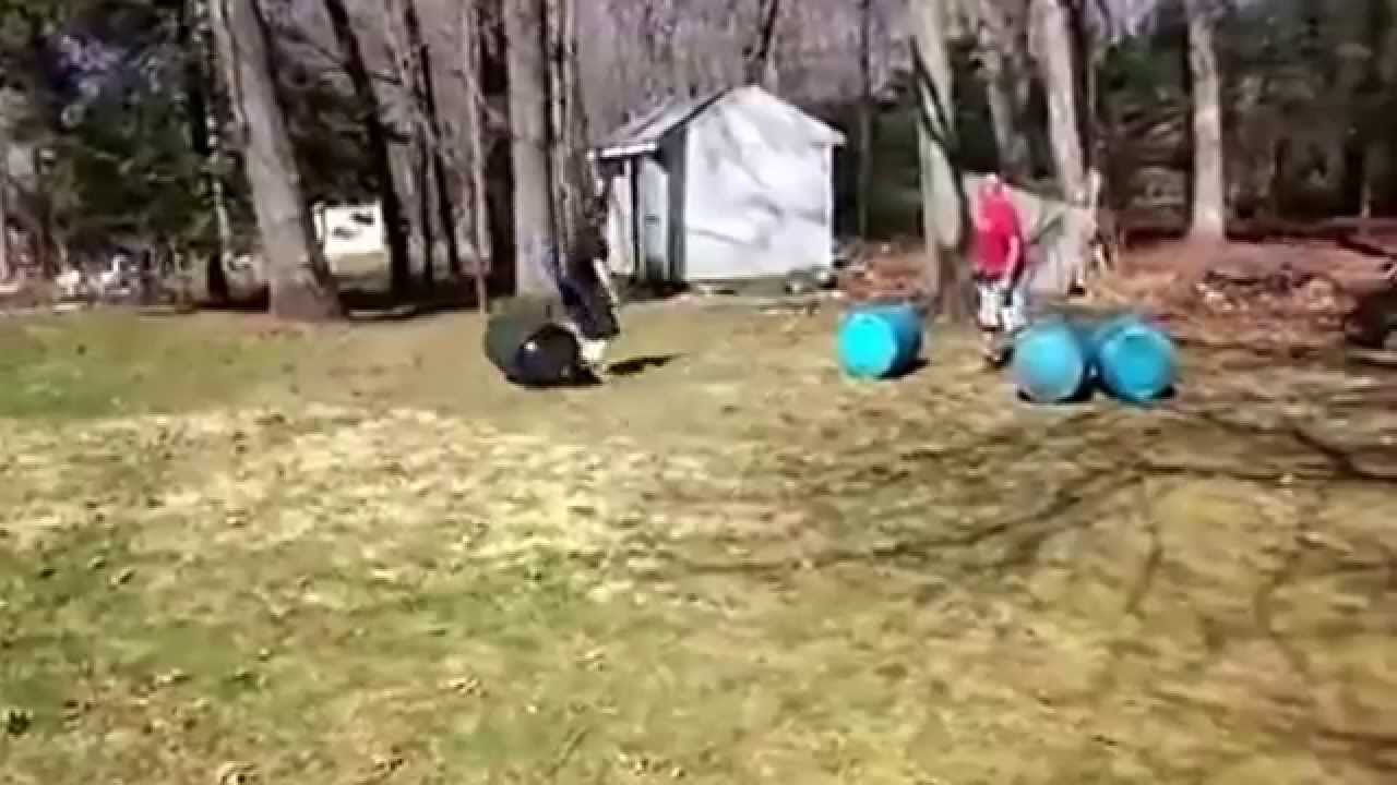 Danky Kang ( ͡&deg; ͜ʖ ͡&deg;)&lrm;