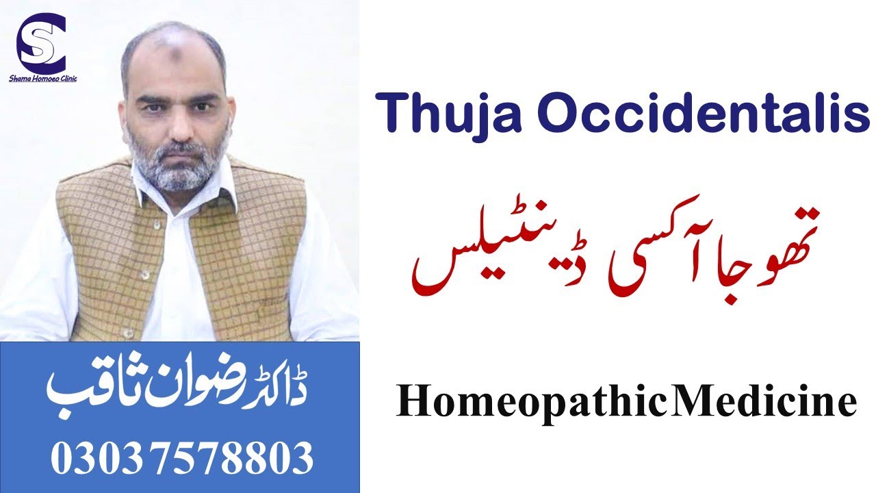 Thuja Occidentalis تھوجا آکسی ڈینٹیلس Homeopathic Medicine by Dr. Rizwan Saqib in Urdu/Hindi