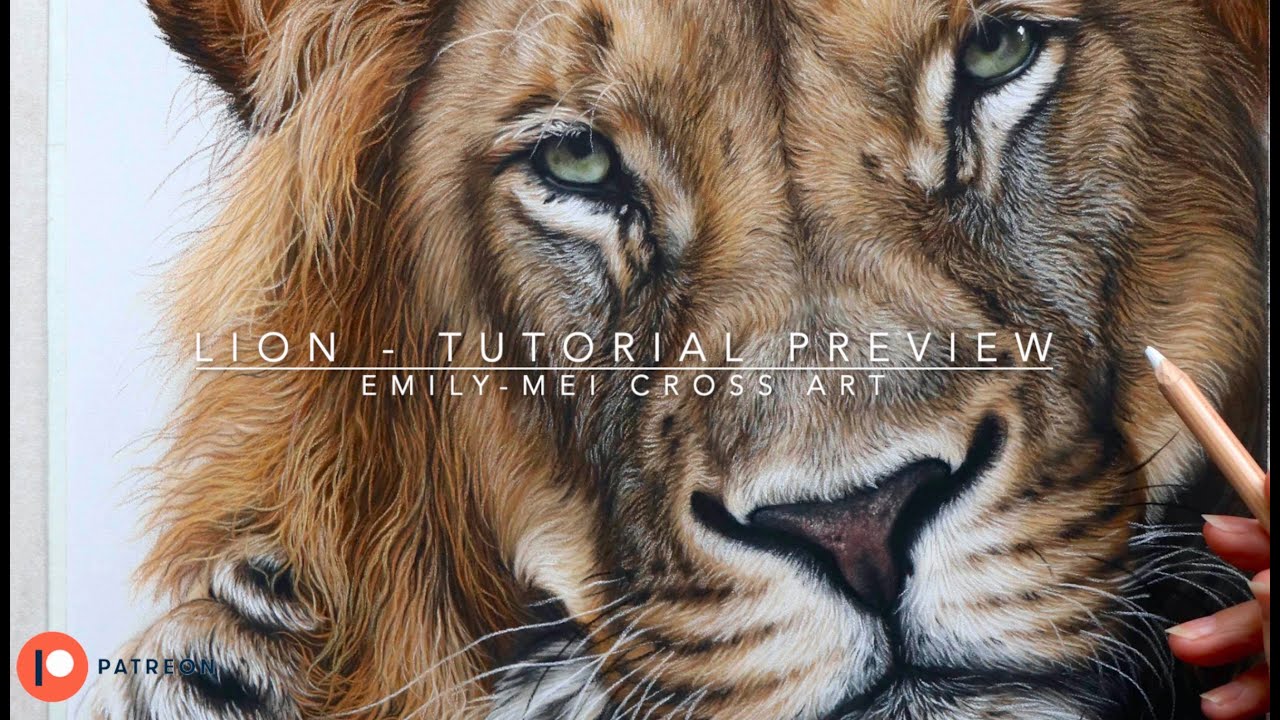 Lion preview tutorial #beginnerartists #pastelpencils #patreon #softpastels