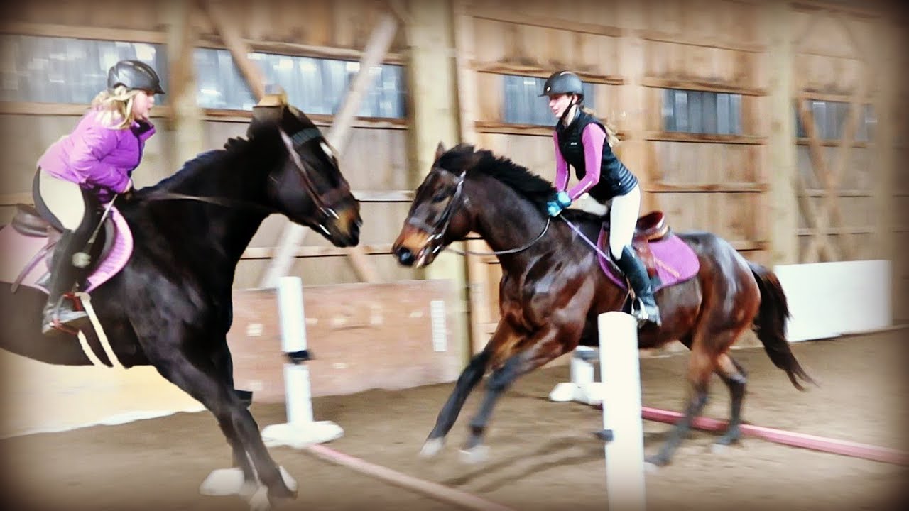 LEARNING TO JUMP OUR NEW HORSE!