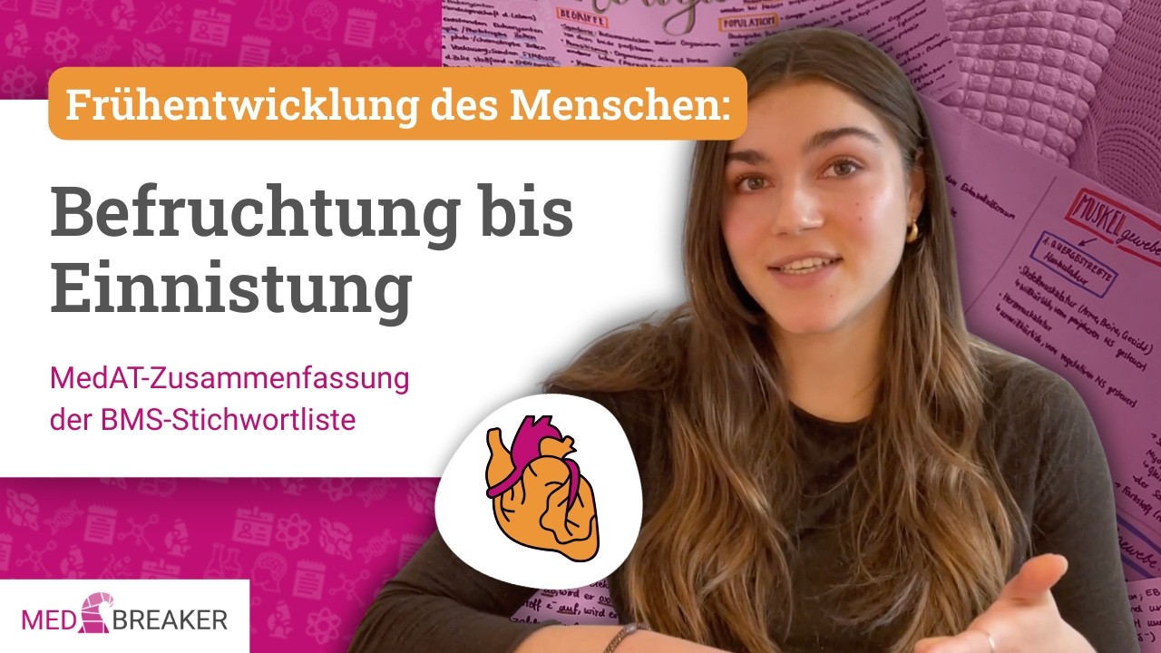 Befruchtung bis Einnistung - Frühentwicklung des Menschen | MedAT BMS-Stichwortliste