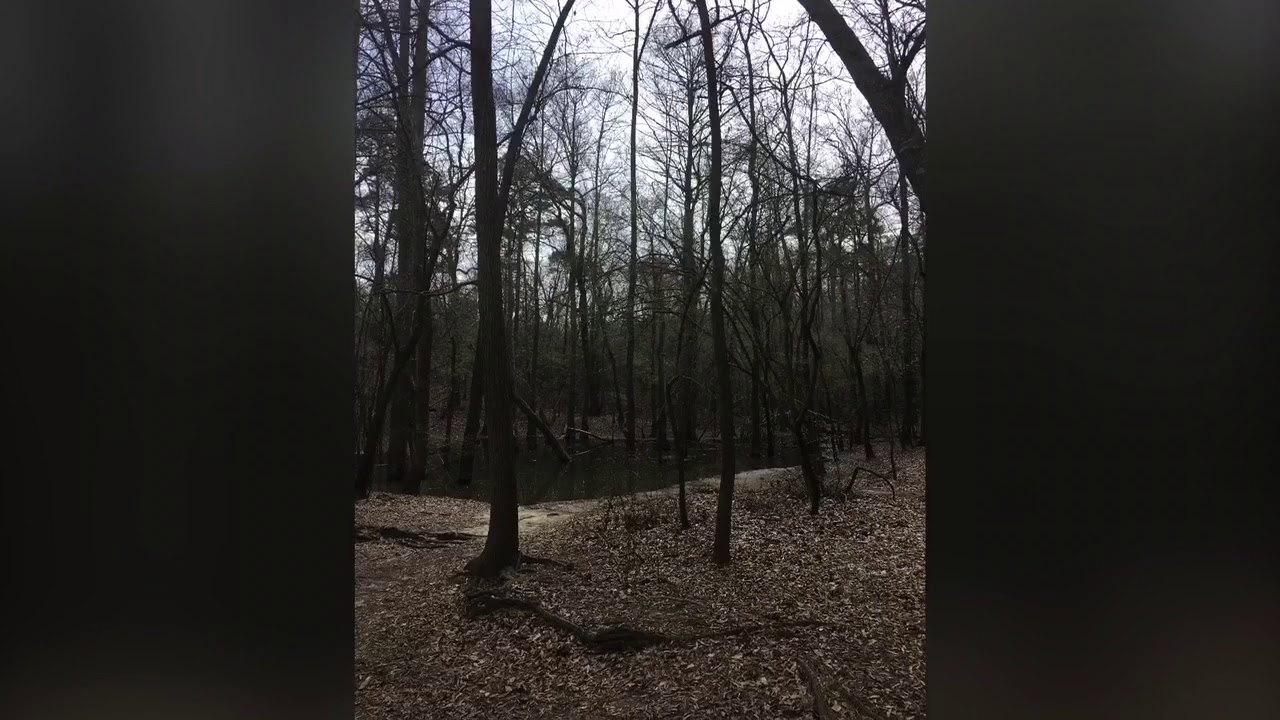 Cliffs of the Neuse state park , Goldsboro NC