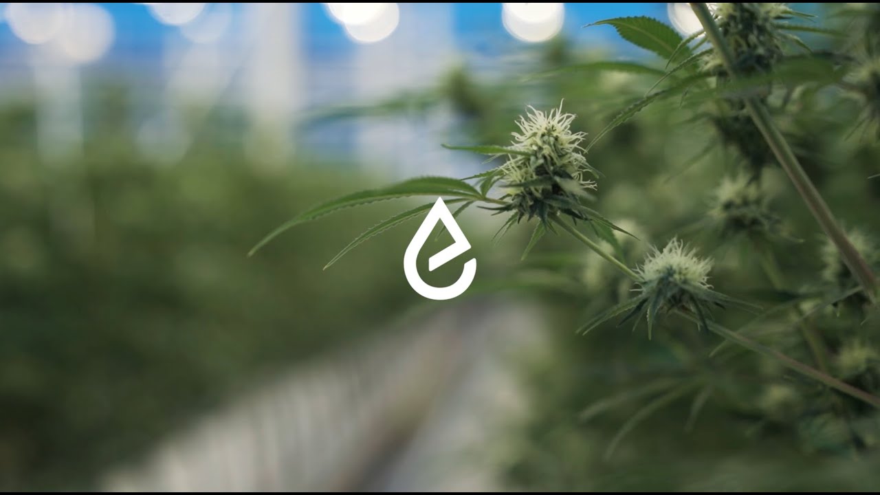 Emerald Health