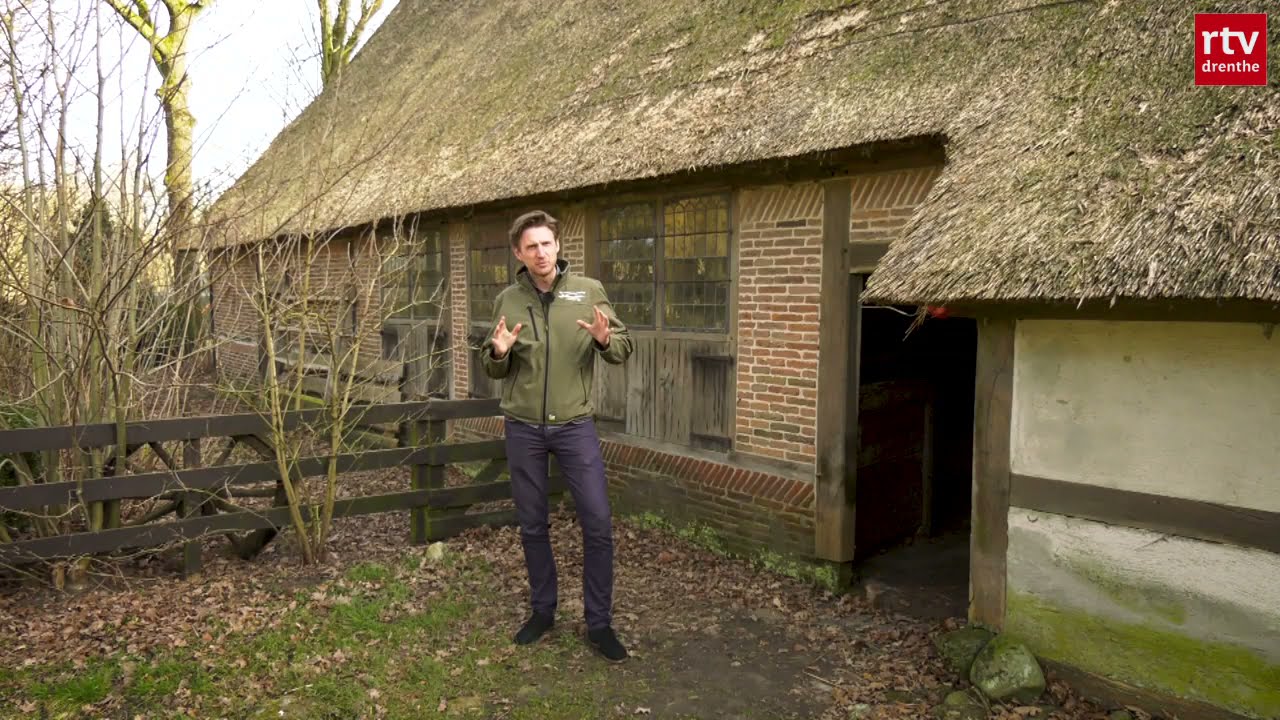 In de Bruntingerhof zie je eeuwenoude bomen terug | Erfgoed