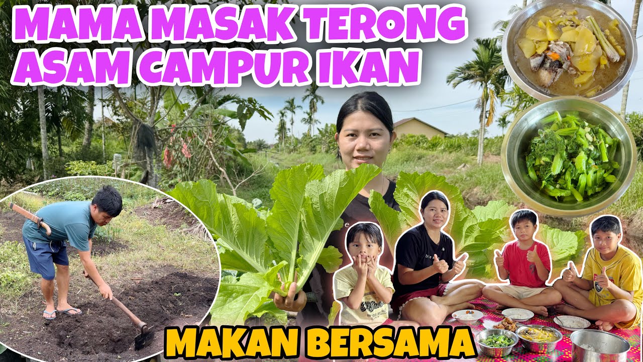 PANEN SAWI BESAR MASAK MAKAN BERSAMA ANAK-ANAK, LANJUT BERKEBUN