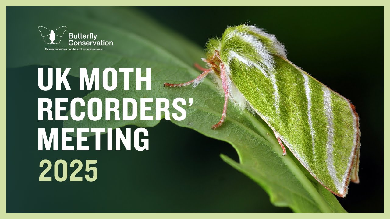 UK Moth Recorders' Meeting 2025