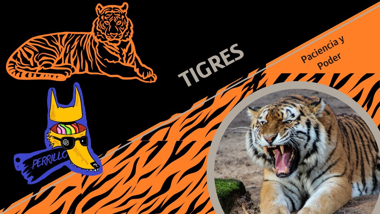 Tigres: Camuflaje contra dalt&oacute;nicos. | Ep 128| CULTURA COLMILLUDA
