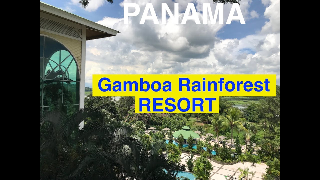 🐒 Gamboa Rainforest Resort: Close to Panama City but a World Away. Hikes, Birds, Monkeys & History.