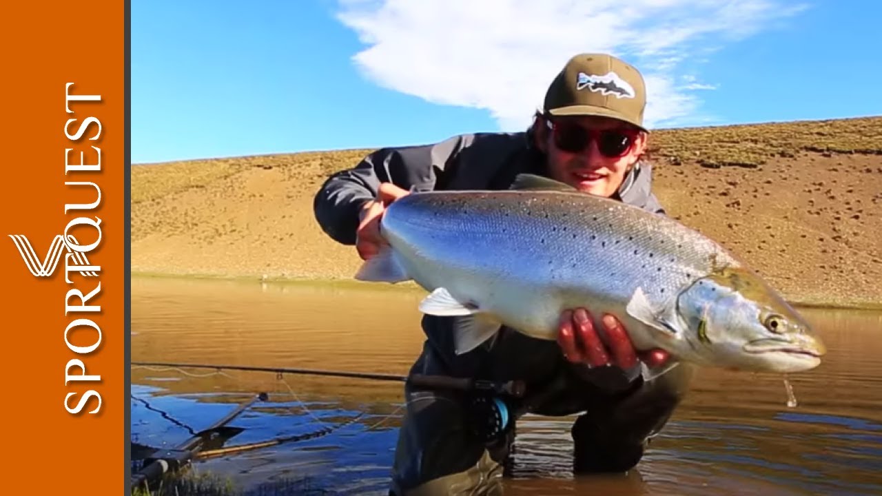 Monster Sea Trout Fly Fishing at Las Buitreras, Argentina 🐟