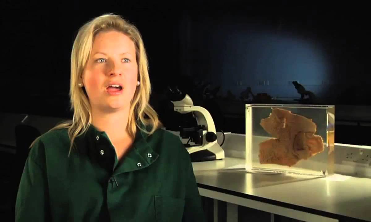 Bristol University - Bristol Veterinary School - Interview process