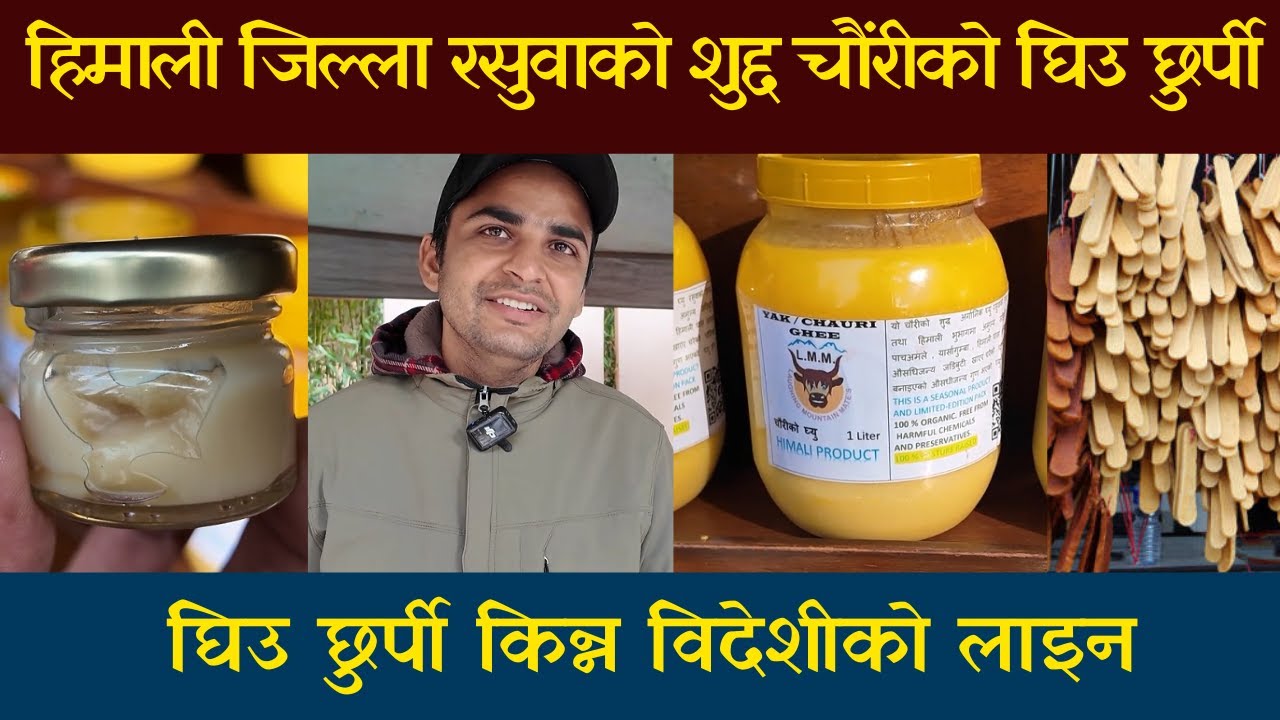 हिमाली चौंरीको घिउ छुर्पी किन्न विदेशीको लाइन | Yak Ghee Benefits | Yak Chhurpi |Chauri Gai Ko Ghee