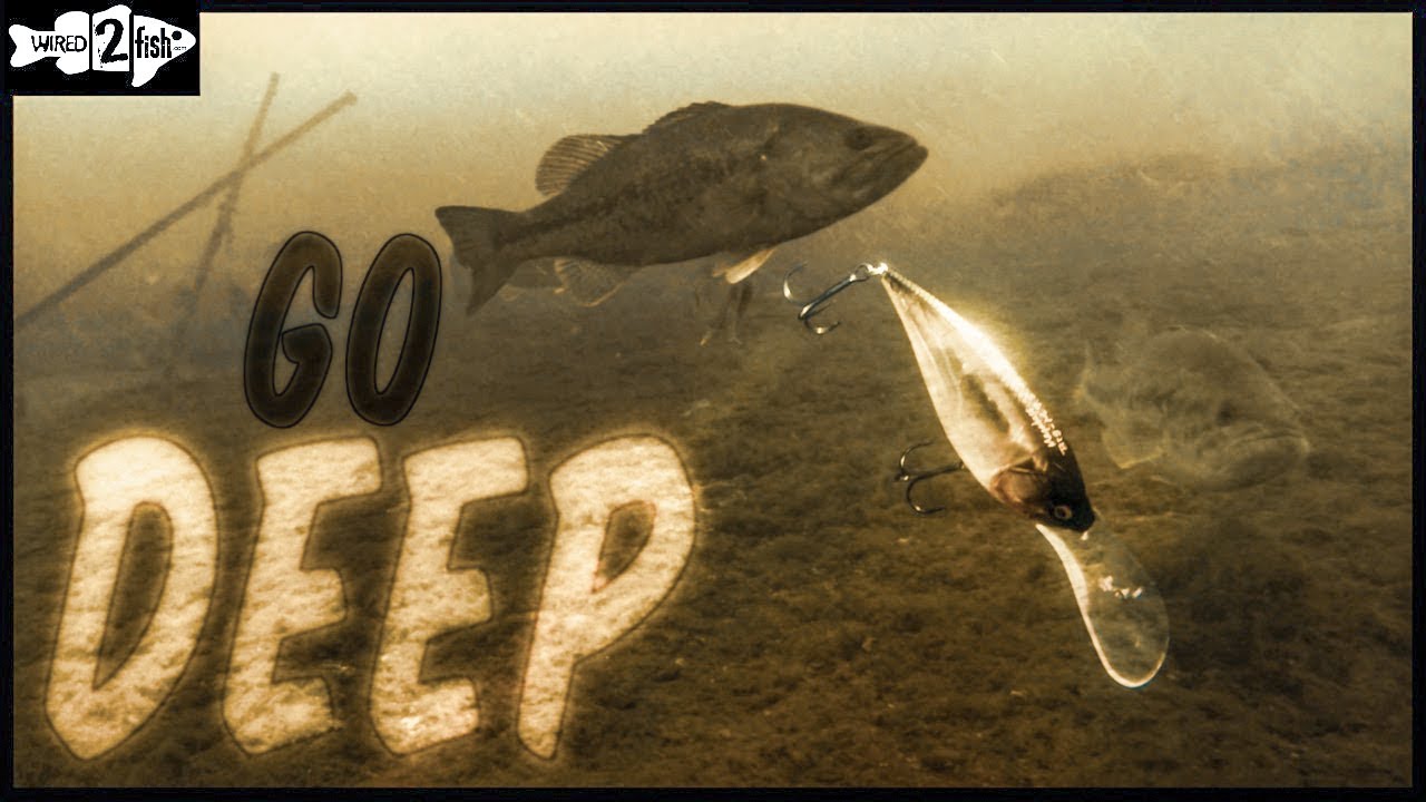 6 Deep Diving Crankbait Tips for Offshore Bass