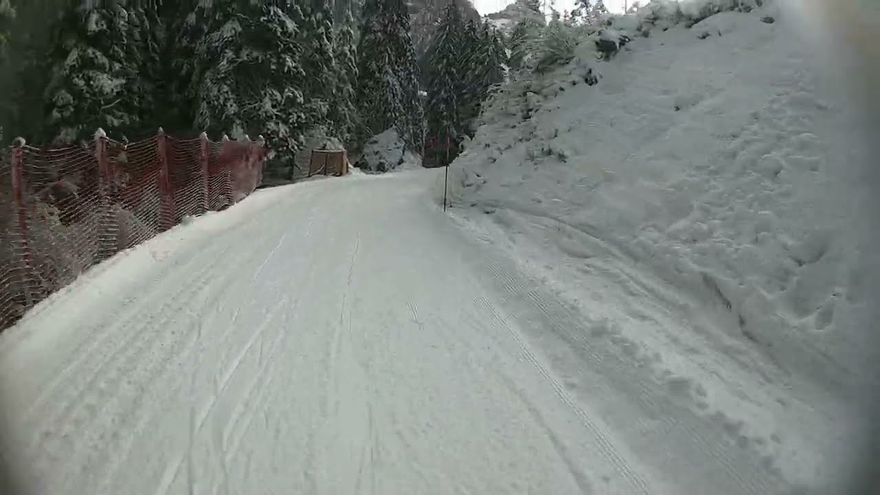 Alpe Tognola (2200 meters)