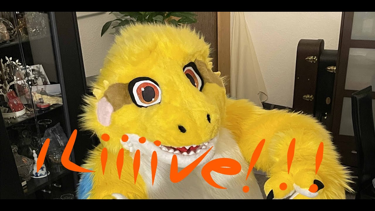 Draco Agamicus V2  Unboxing (By Melinas Dragonpets)