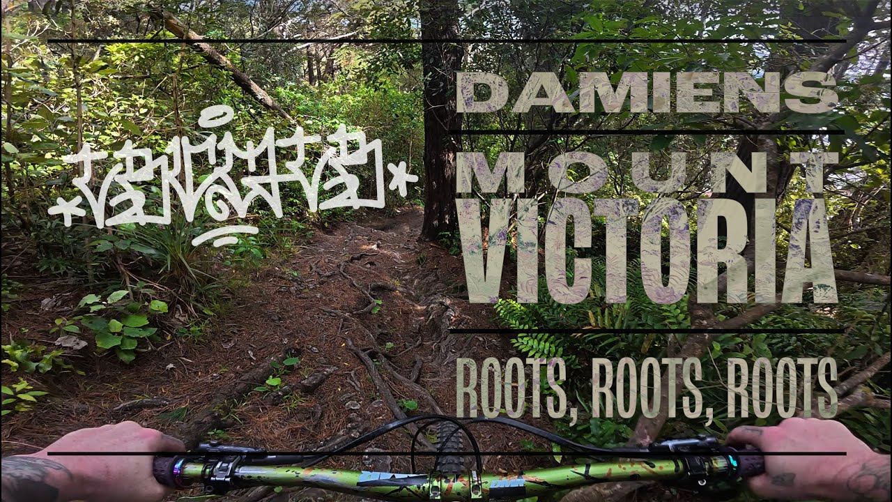 MTB // Damiens, kinda & other bits // Mt. Victoria, WGTN, NZ