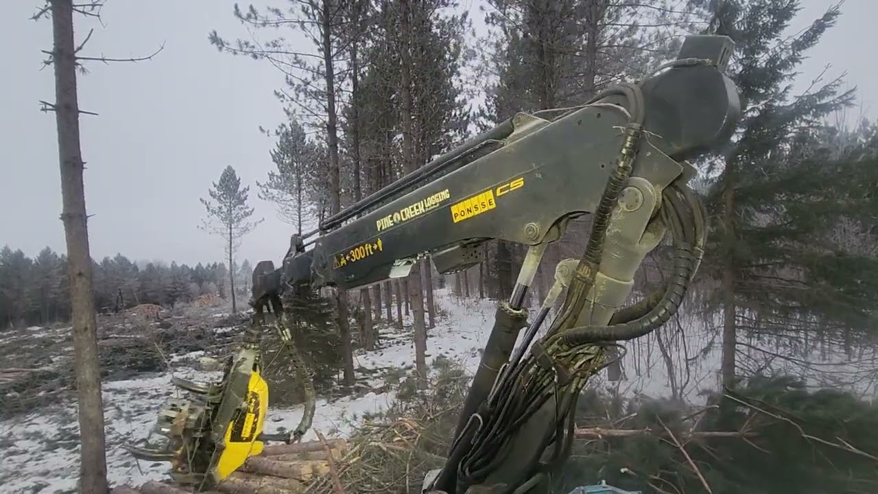 Ponsse Ergo H7 C5 Red Pine Final Fell.