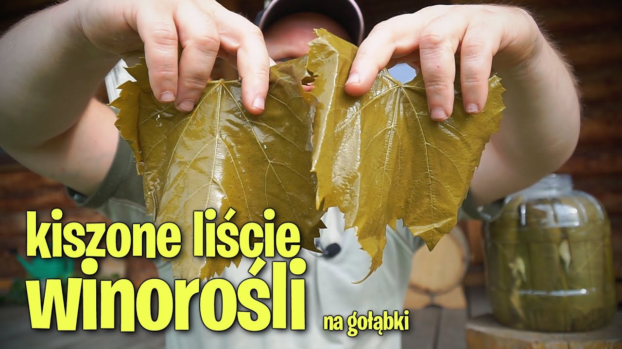 Kiszone liście winorośli na gołąbki.