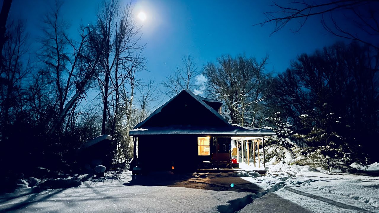After The Storm Chores | Huge Fallen Trees Give Us Firewood